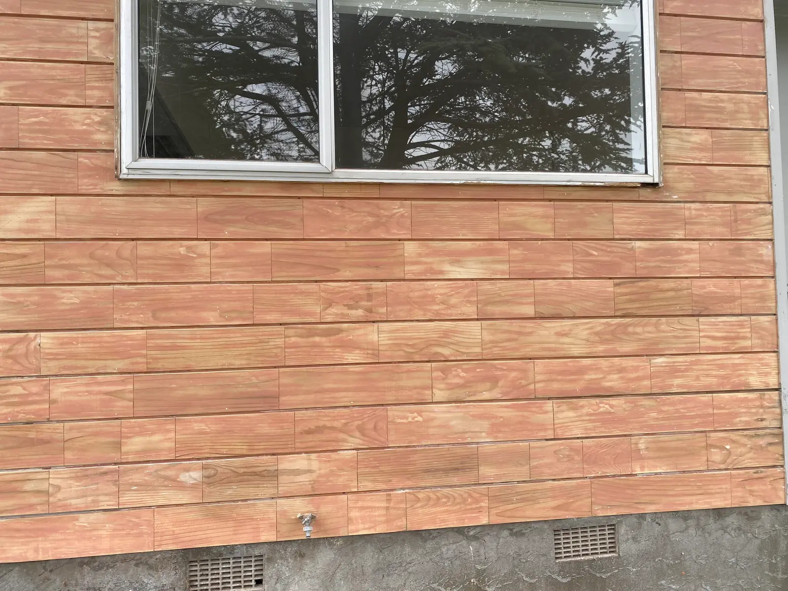 Paint stripping service by Wellington Decorators