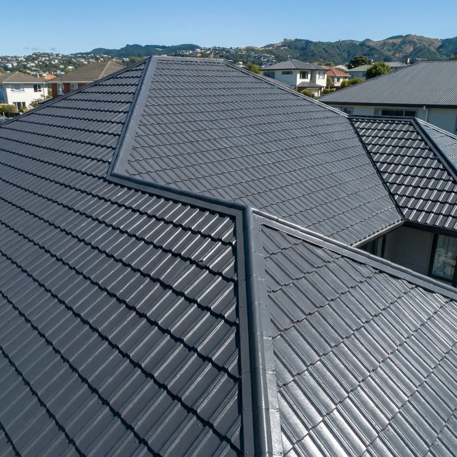 Roof painting by Wellington Decorators