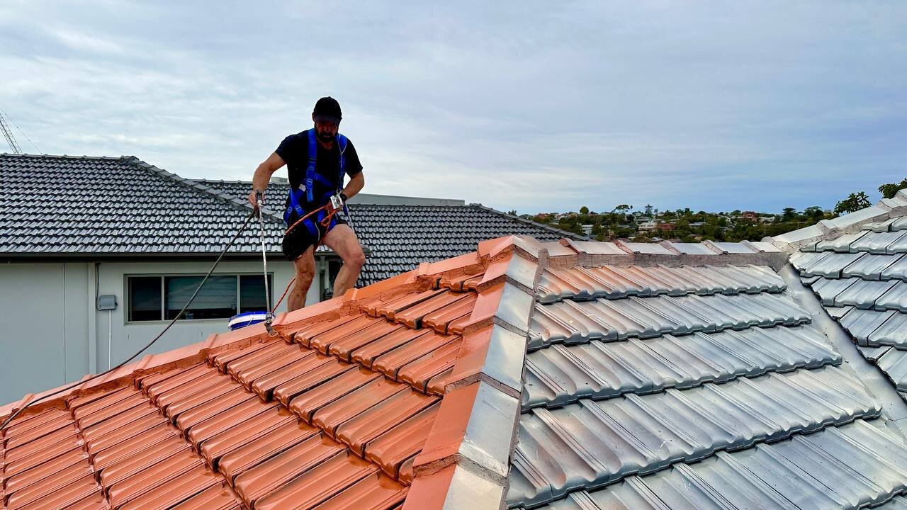 How Much Does Roof Painting Cost in Wellington, NZ?