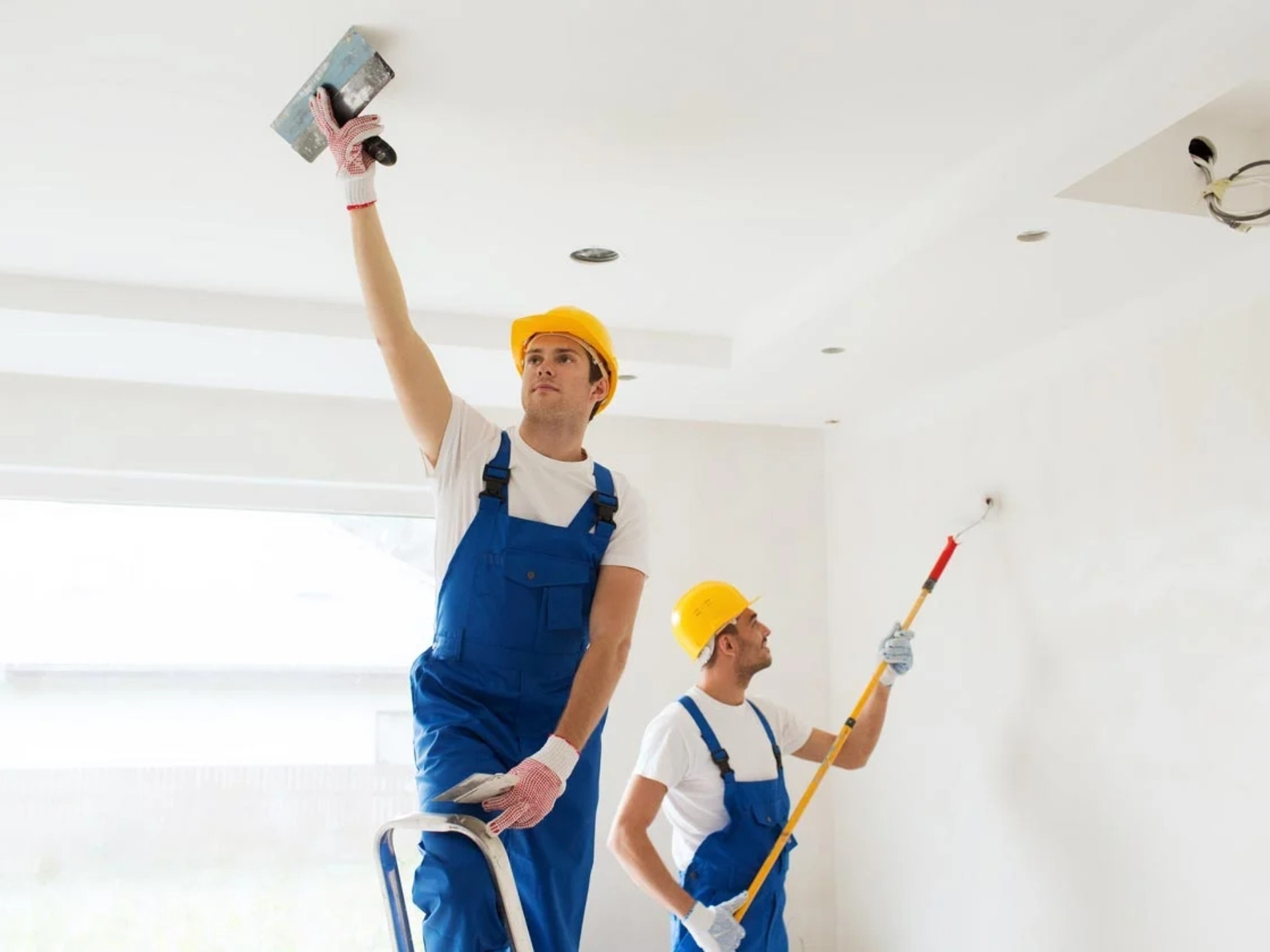 Interior Painting Painters in Wellington: How to Compare, Choose, and Save Money 5 DIY vs. professional house painters in Auckland: Which saves you more?